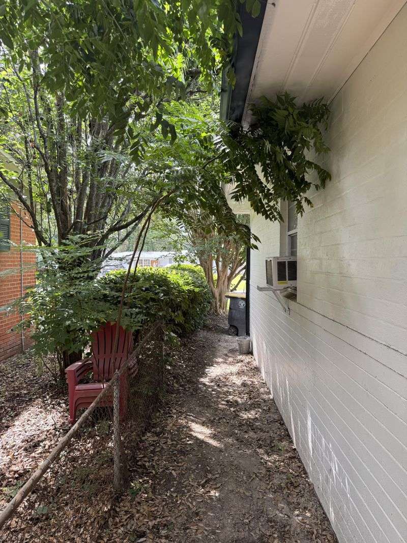 Overhanging Branches Give You Limited Trimming Rights