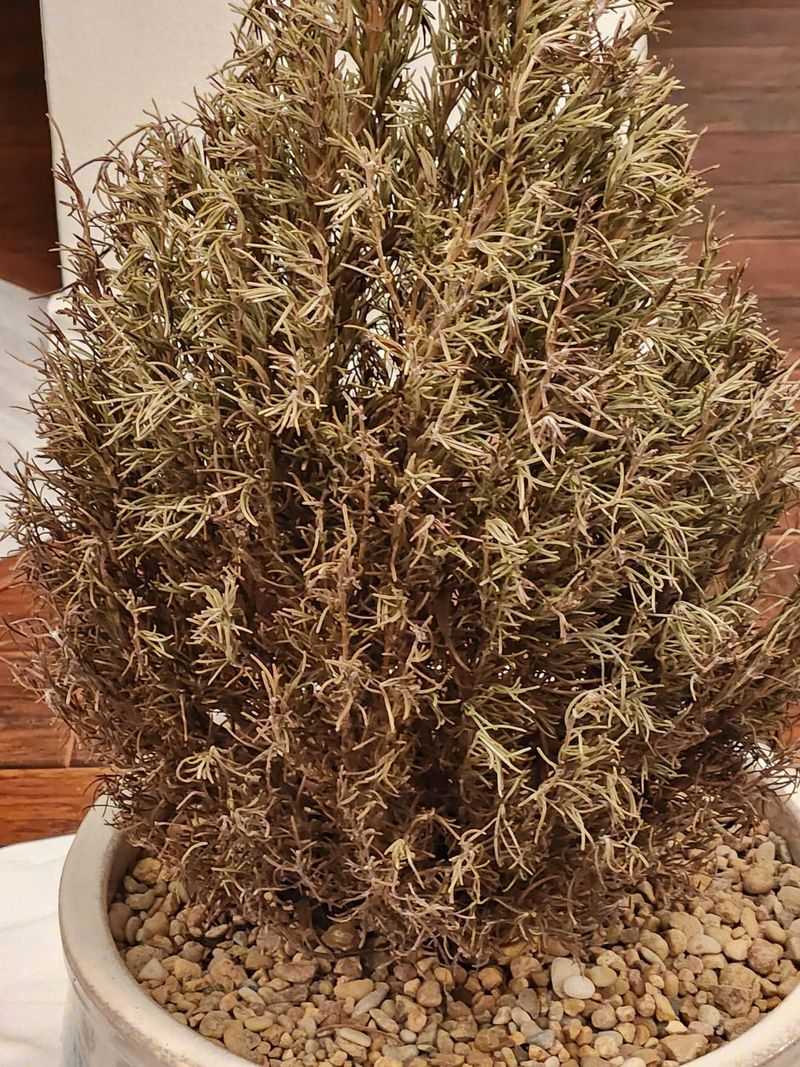 Indoor Heat Sucks Out All The Moisture