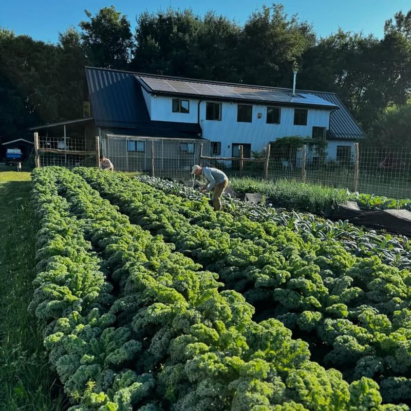 Garden Space Gets Maximized Year-Round