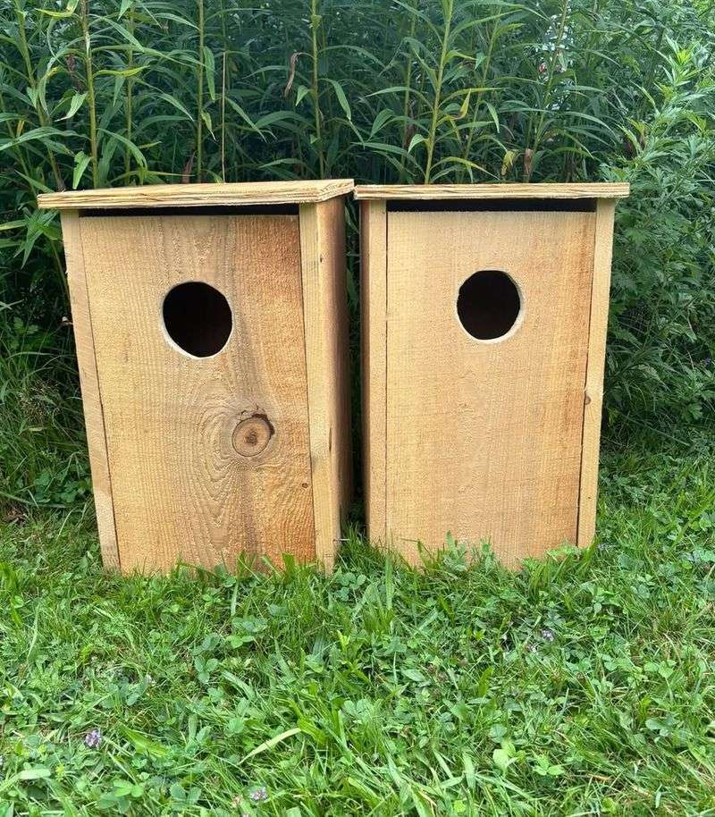 Cavity Nesting Boxes