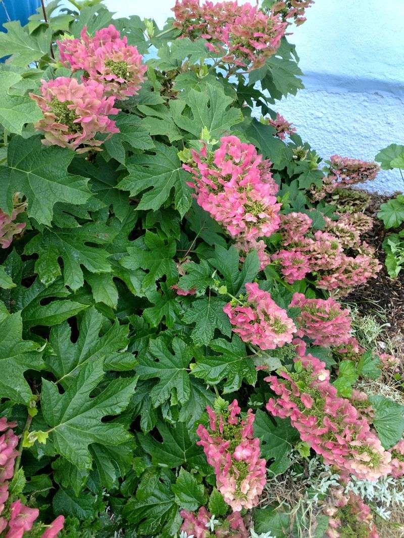 Low Maintenance Requirements Save You Time