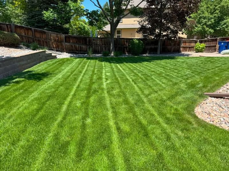 Reduces Pest Hideouts Over Winter