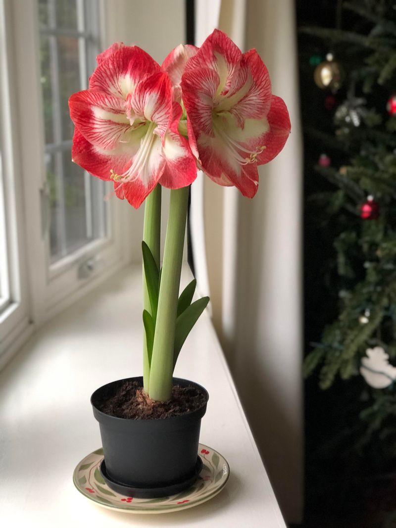 Minimal Heating System Interference