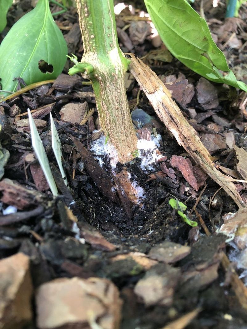 Oregon's Unusually Wet Winter Weather