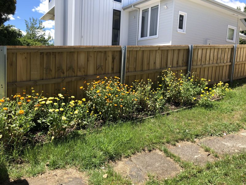 Strategic Deadheading Encourages Continuous Flower Production