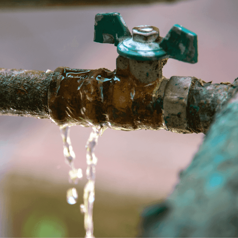 Mold And Mildew Grow In Wet Hoses