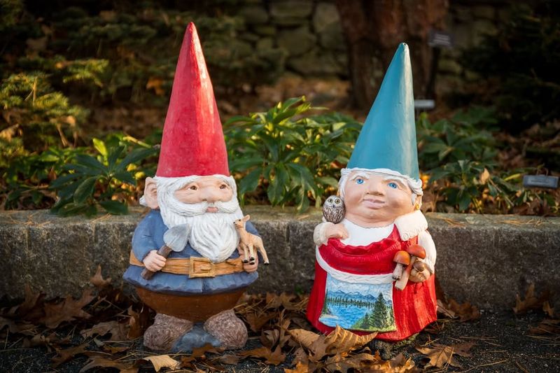 Vibrant Garden Gnomes