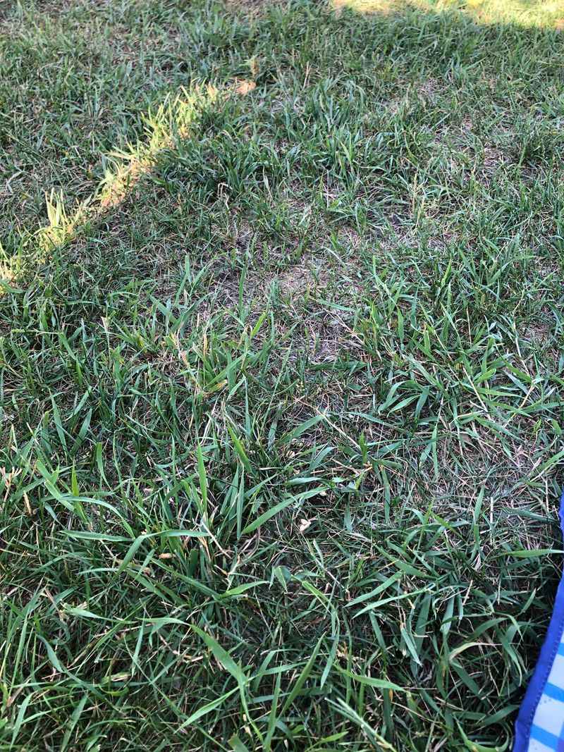 Ignoring Bare Patches and Thin Areas