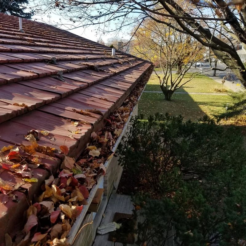 Clogged Gutters Invite Mosquitoes And Birds