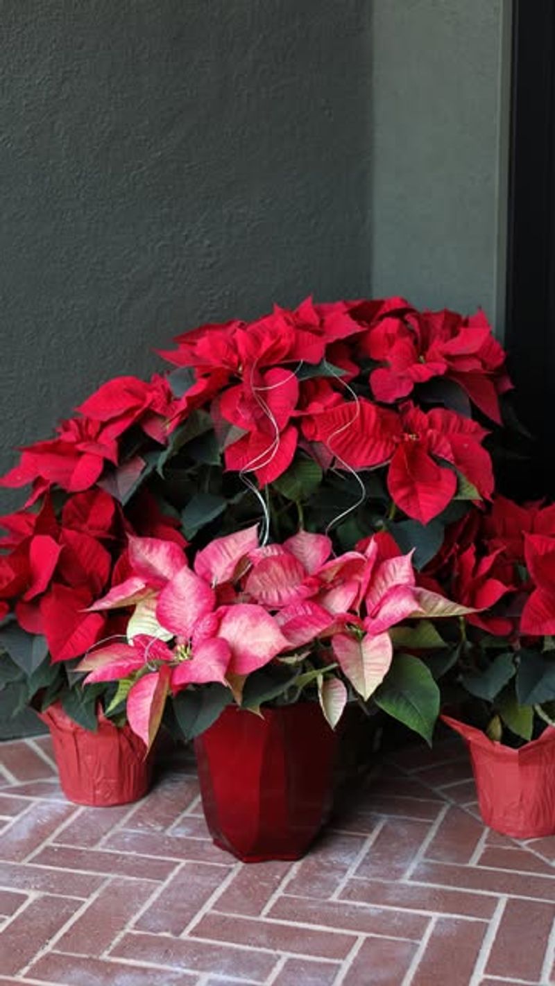 Stress From Rapid Environment Changes