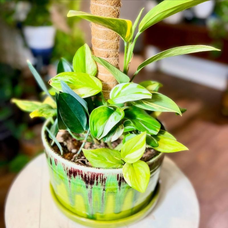 Dry Indoor Heating Systems