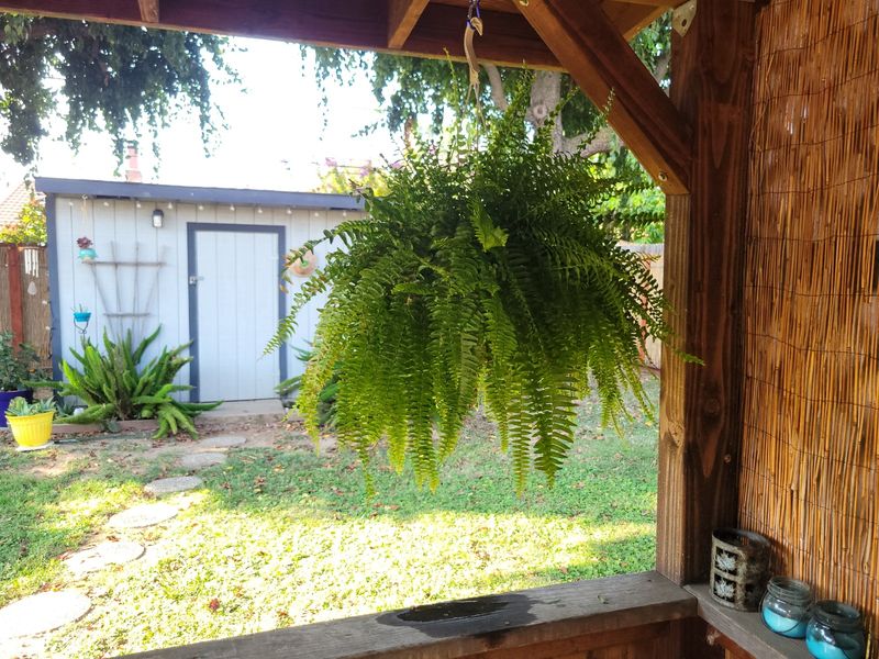 Hanging Basket Columns For Cascading Plants