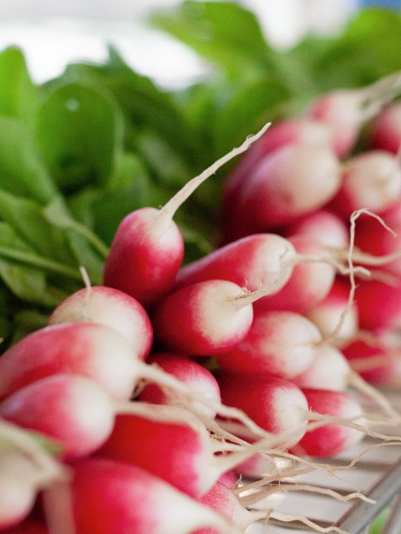 Radishes