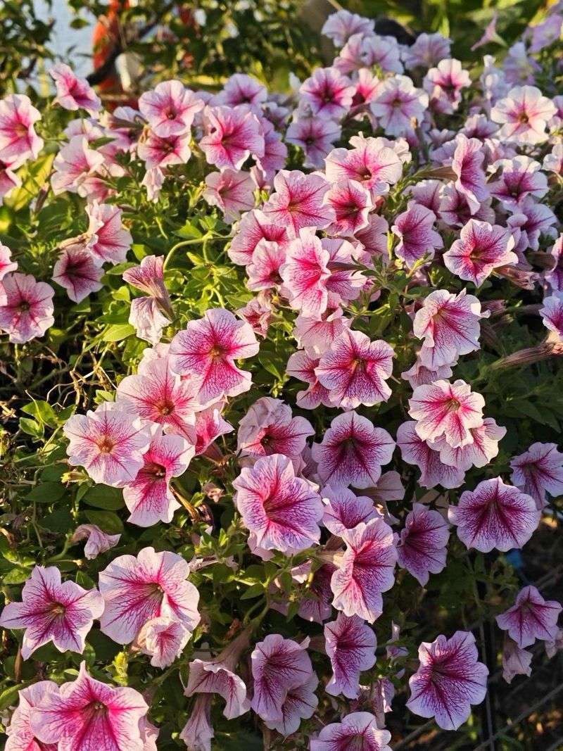 Humidity Resistance Prevents Common Problems