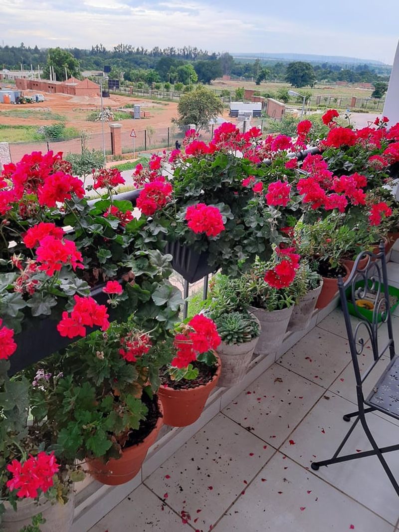 Beginners Find Success Immediately