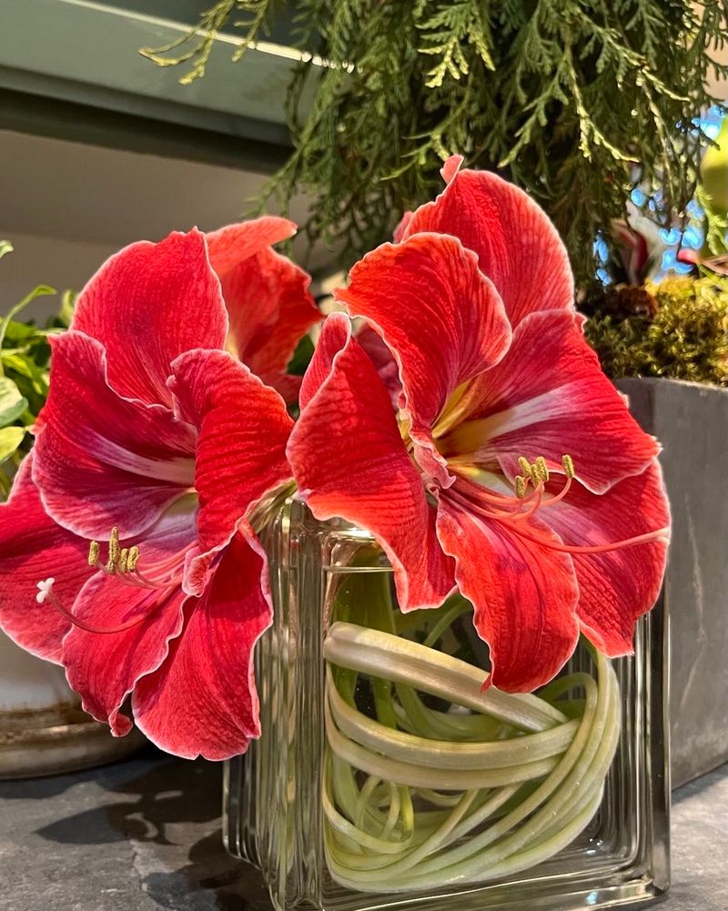 Stunning Modern Aesthetic Appeal