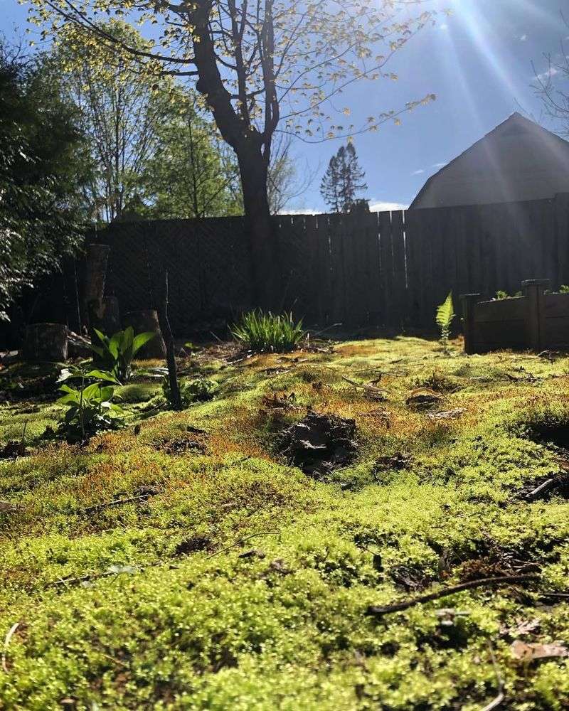 Massive Water Savings Every Month