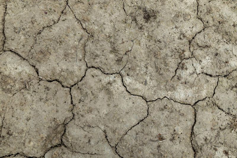 Stress Response From Previous Droughts