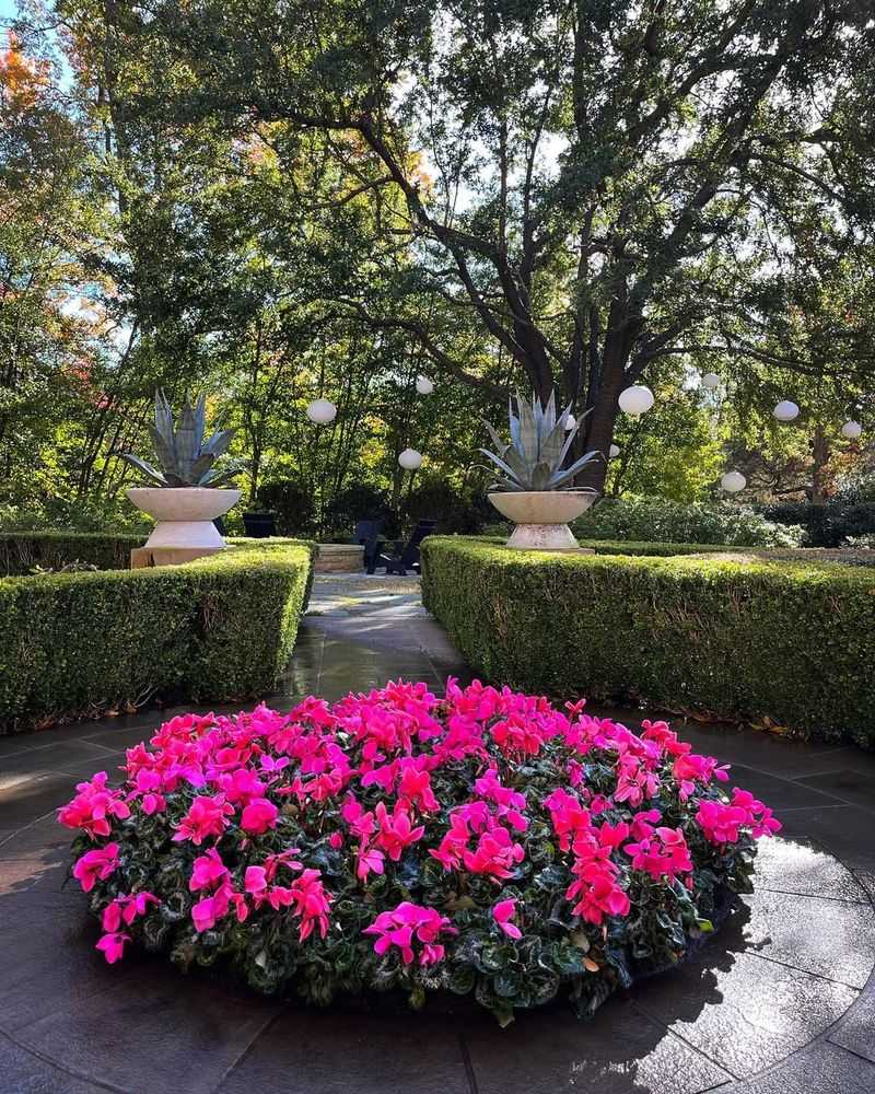 Low Water Requirements Suit California Climate