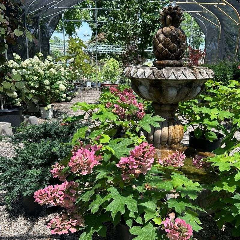 Handles Wisconsin Winters Like A Champion