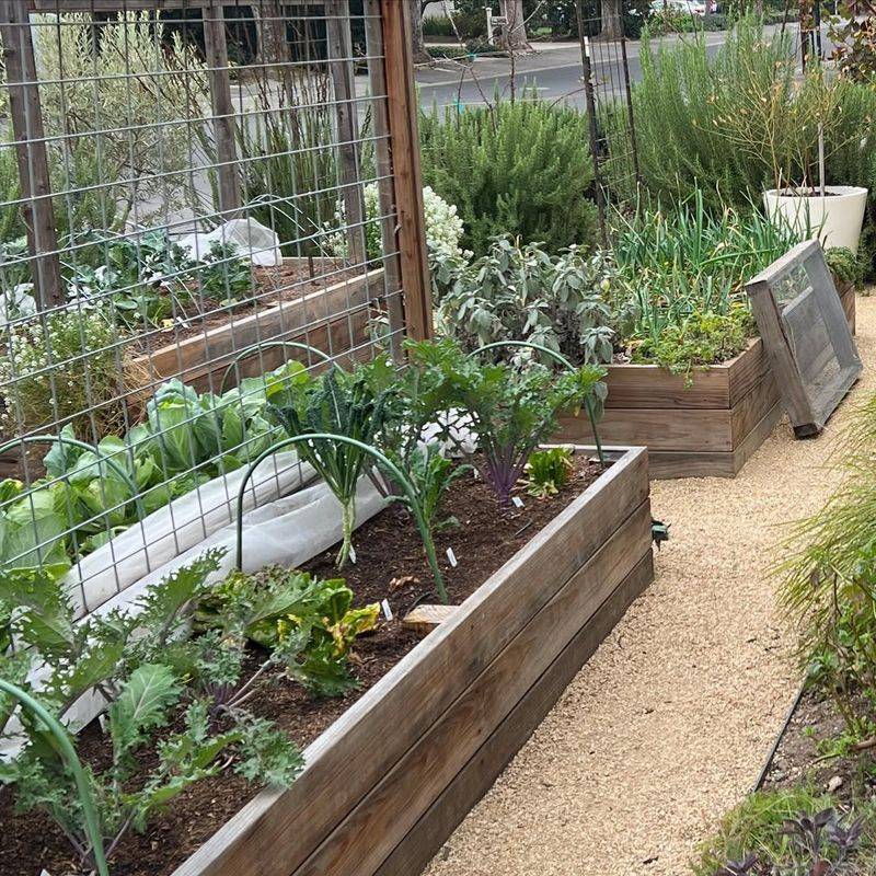 Front Yard Vegetable Gardens