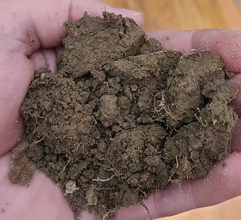 Improved Soil Structure And Drainage