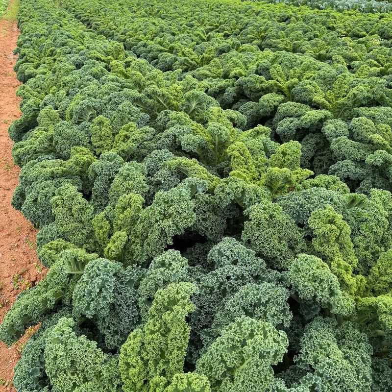 Minimal Water Needs Simplify Winter Care