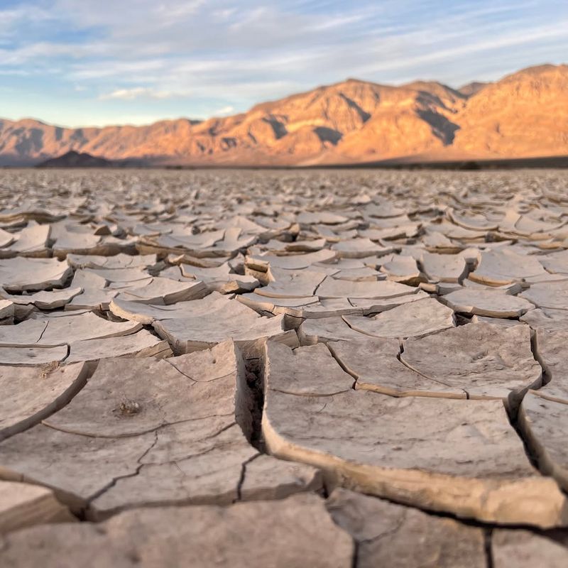 Climate Change Effects