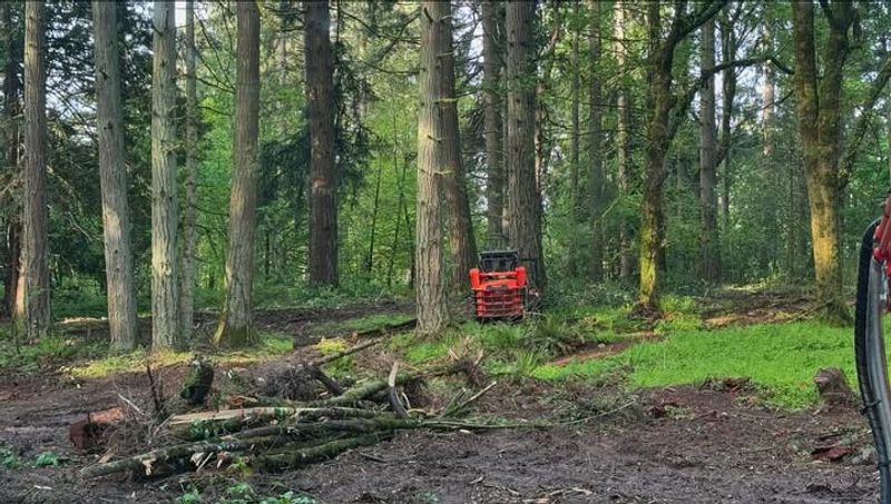 Loss Of Natural Habitats