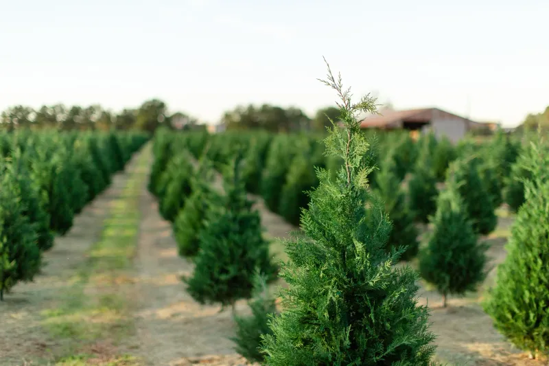 Increased Demand Outpaces Supply Growth