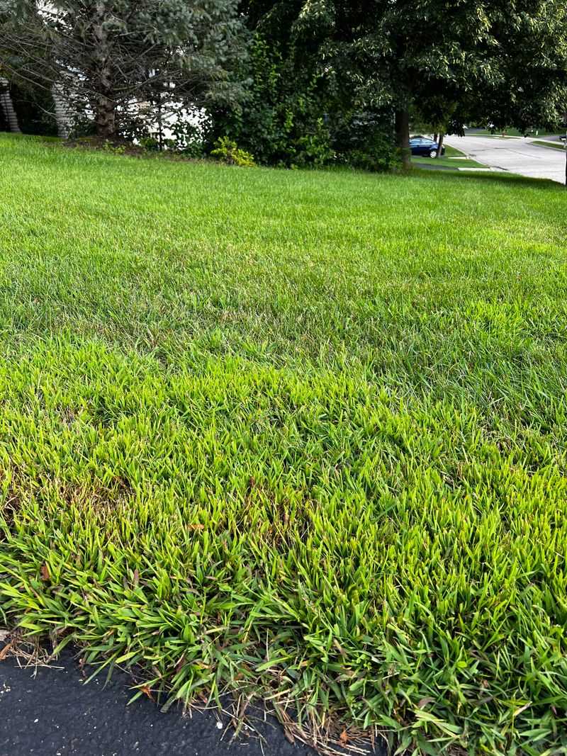 Moisture Retention Improves When Grass Height Increases