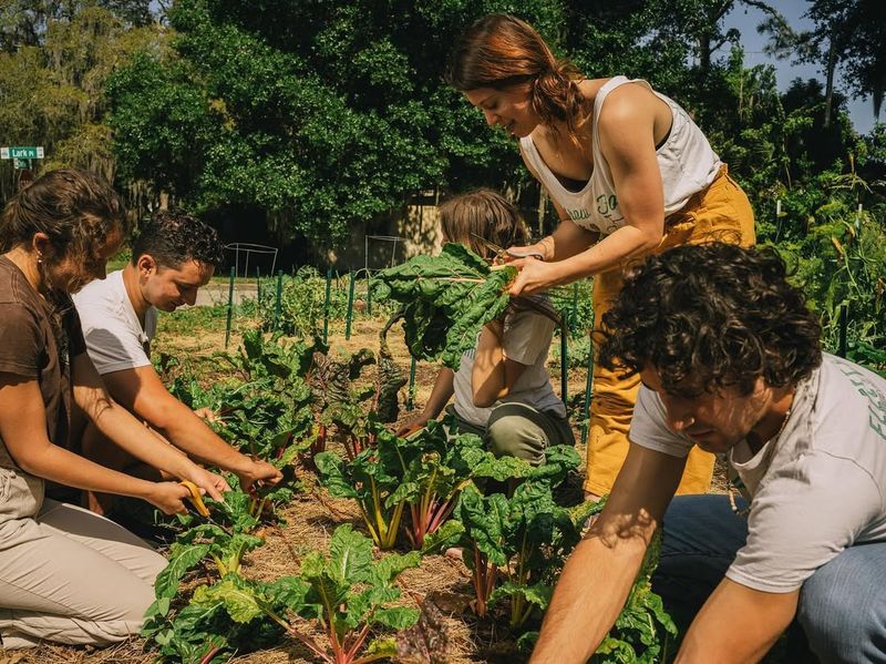 Neighborhood Community Connections Strengthen