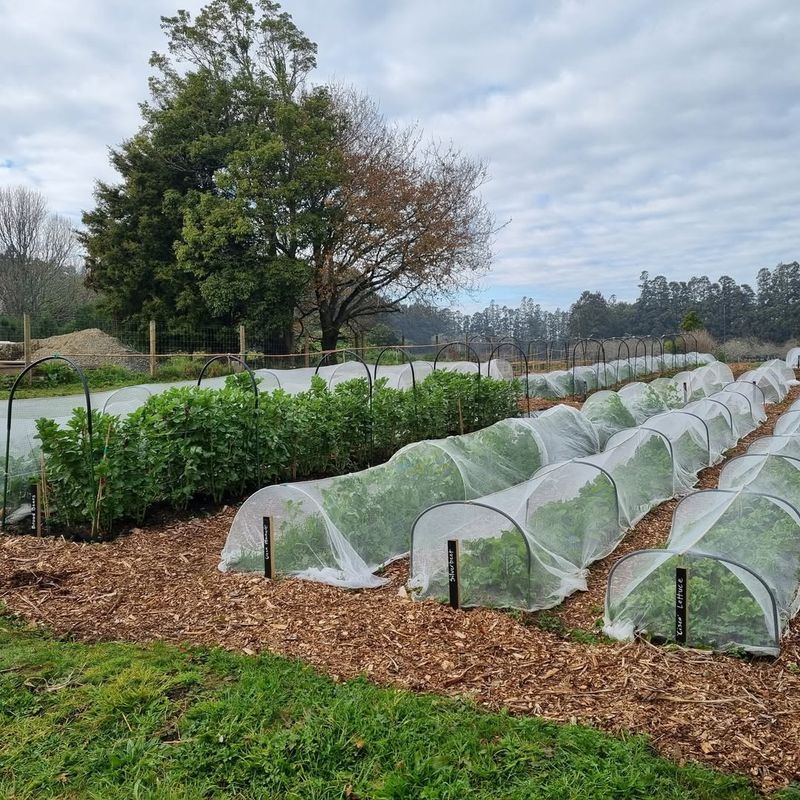 Install Hoops For Better Air Circulation