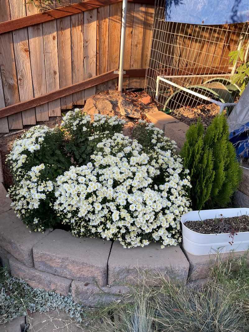 Not Considering Container Size