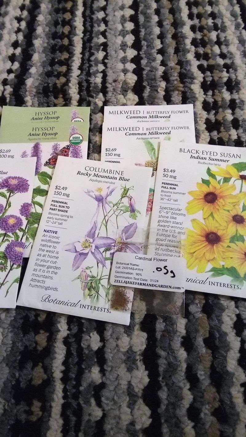 Cold Stratification Seeds Start Now For Spring Success