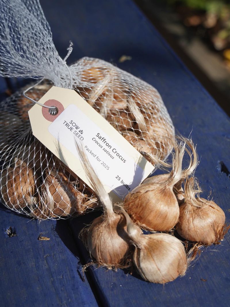 Select Quality Bulbs From Trusted Sources