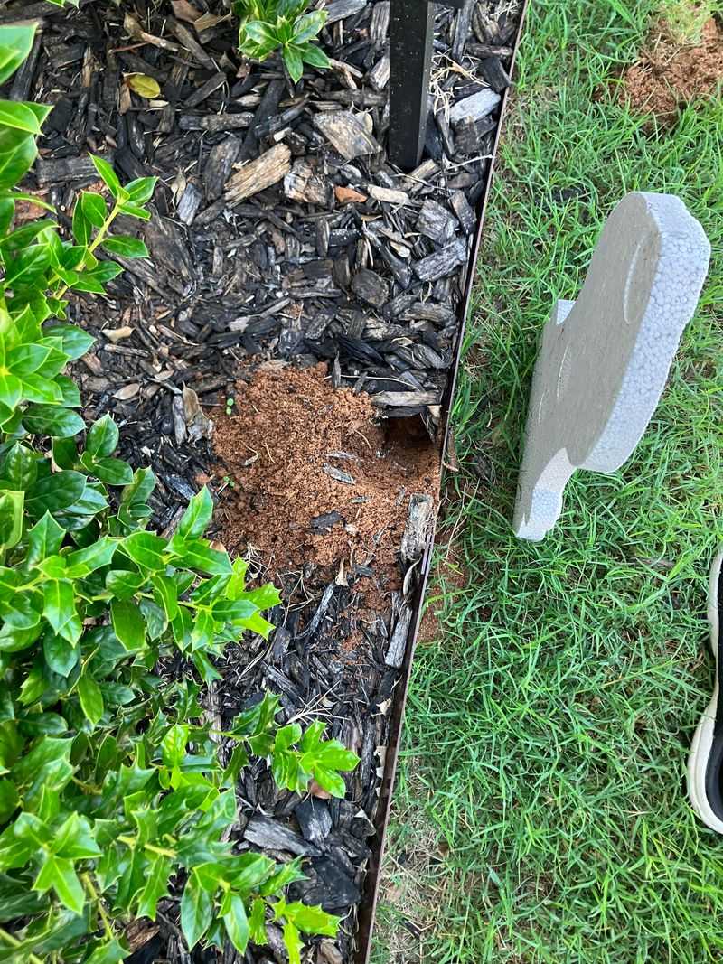 Flood Their Tunnels With Water