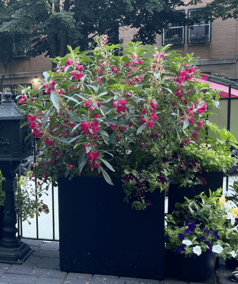 Maintain Good Air Circulation