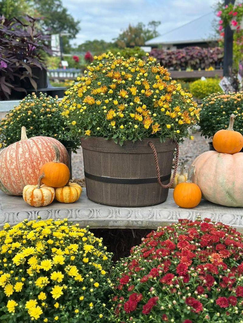 Water Consistently Without Overdoing It