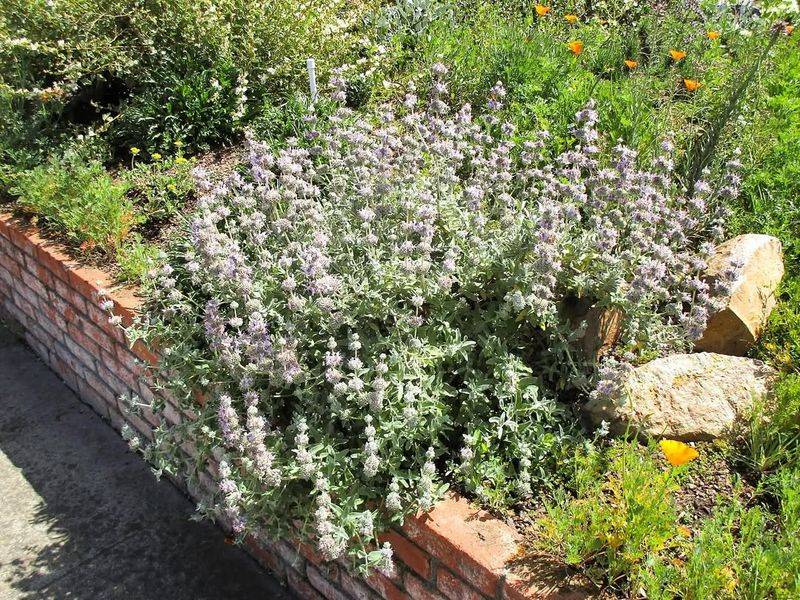 Monitor Weather Forecasts Closely