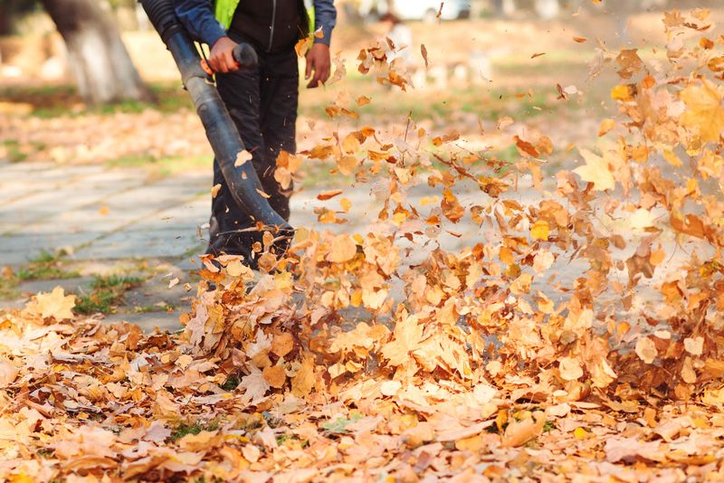 Clean Up Fallen Leaves
