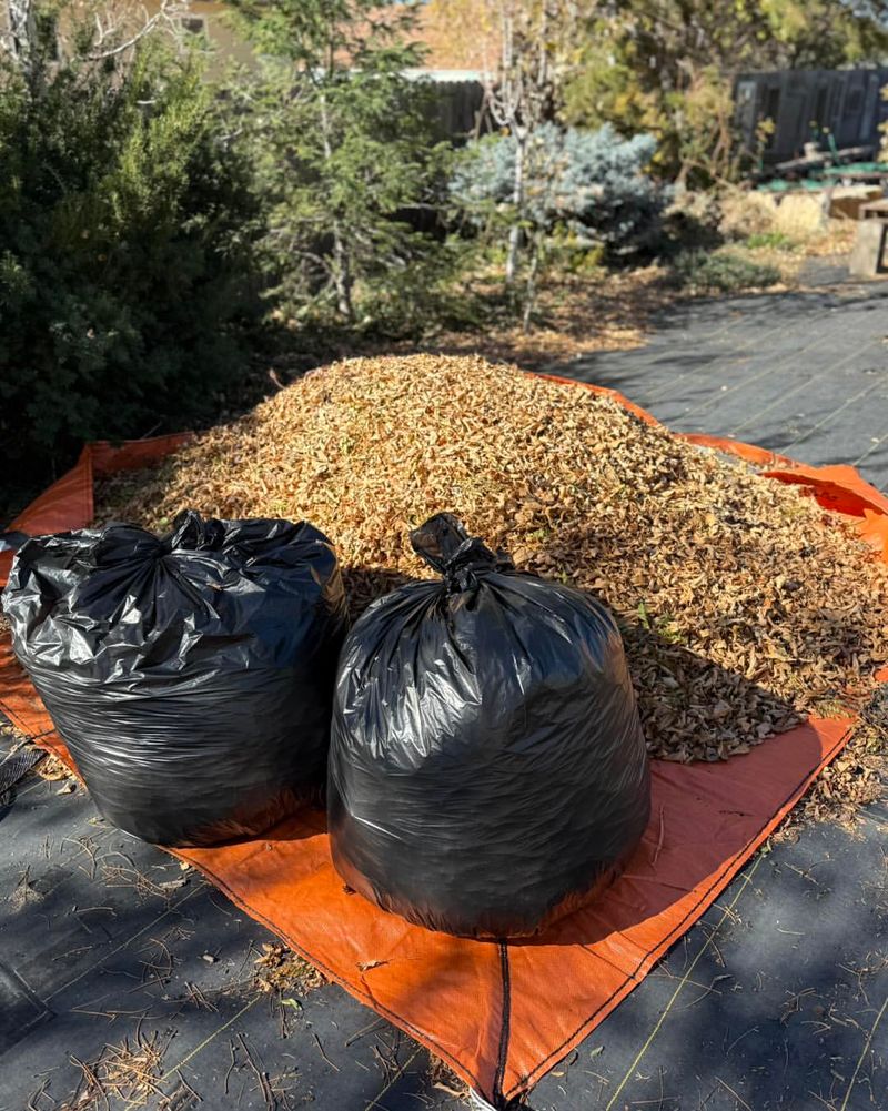 Rake And Compost Fallen Leaves