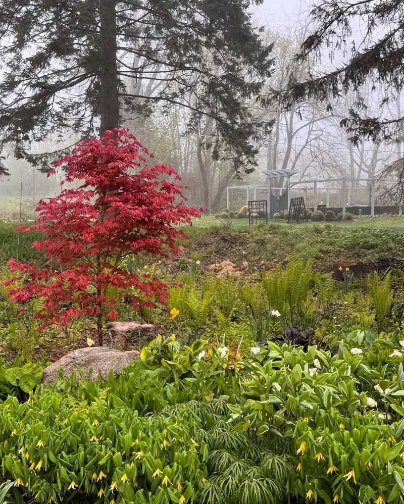 Protect Tender Shrubs And Trees