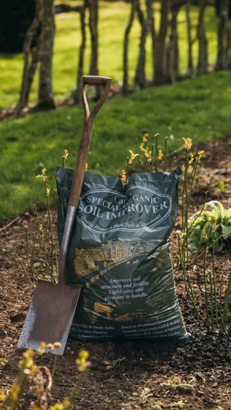 Protect Tender Perennials With Mulch