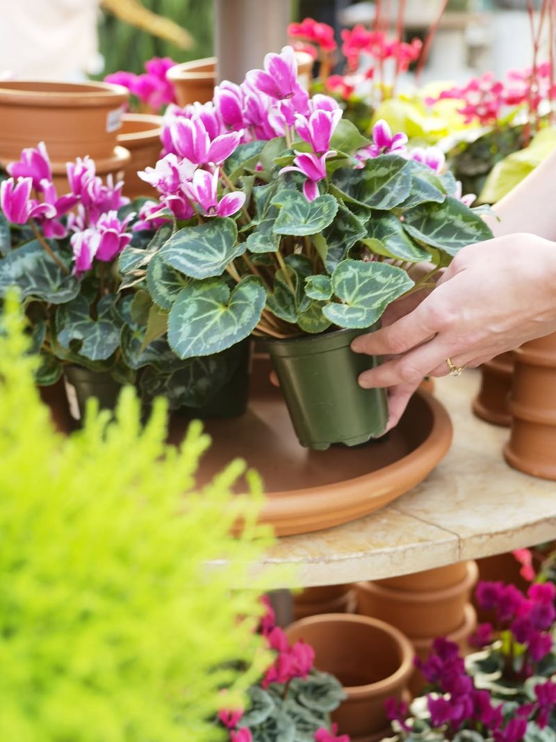 Ignoring Proper Spacing