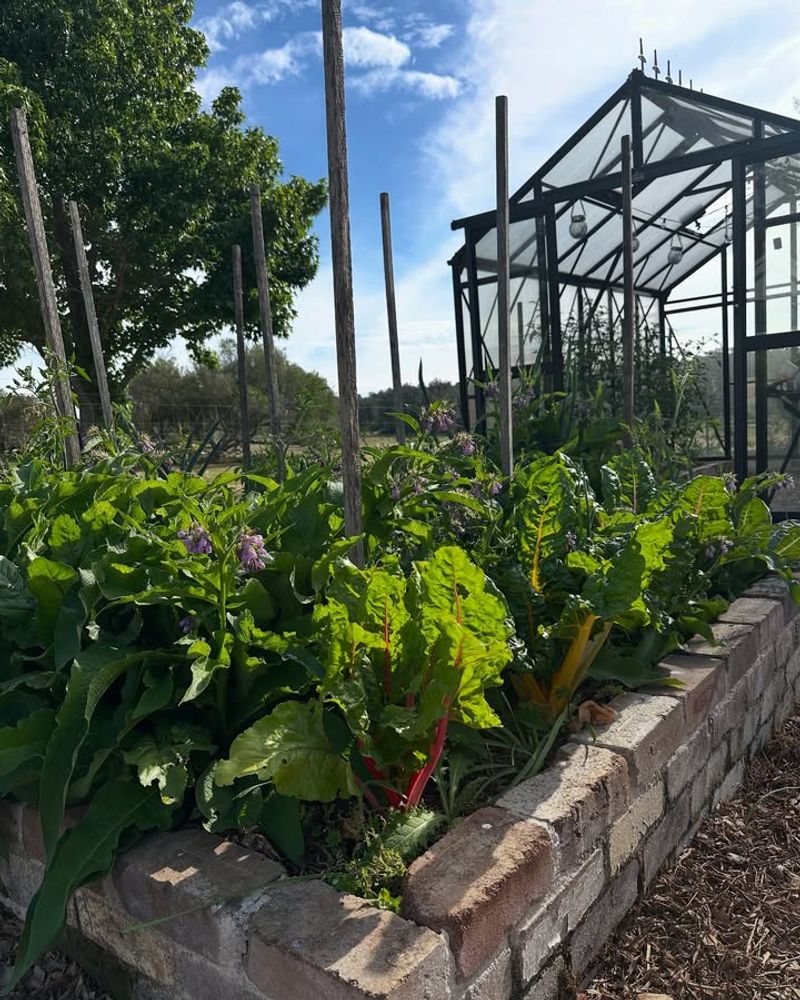 Crowding Plants Too Closely