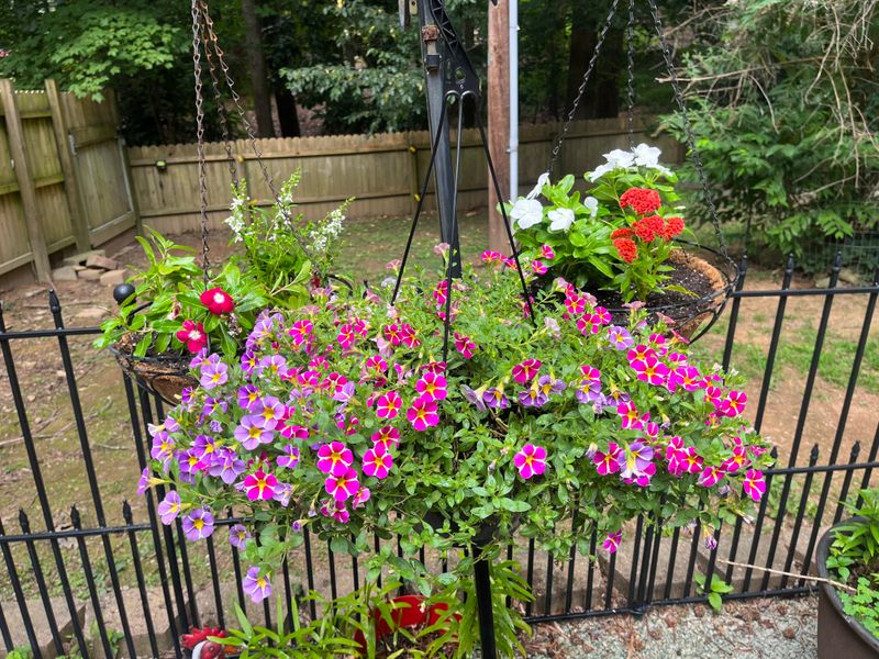 Quick Growth Provides Instant Gratification