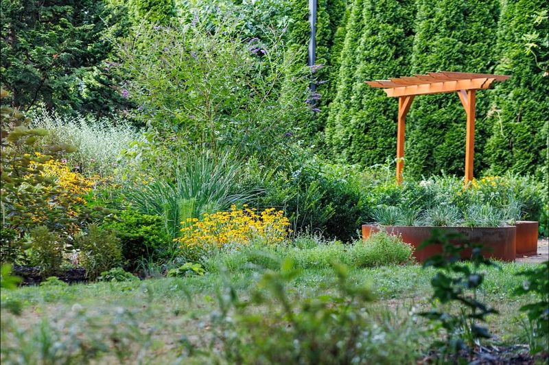 Four-Season Beauty Enhances Landscape Appeal