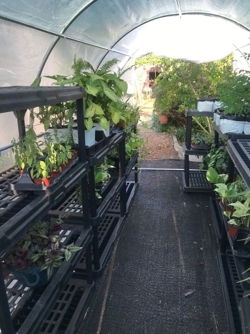 Use Old Blankets During Extreme Cold Snaps