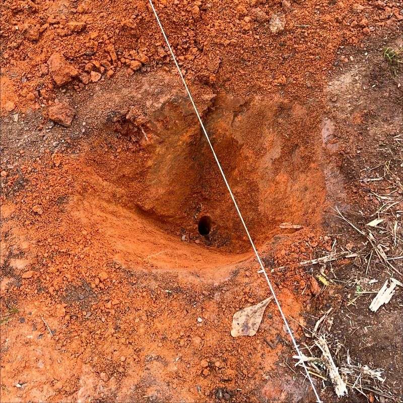 Clay Soil Gets Room To Breathe